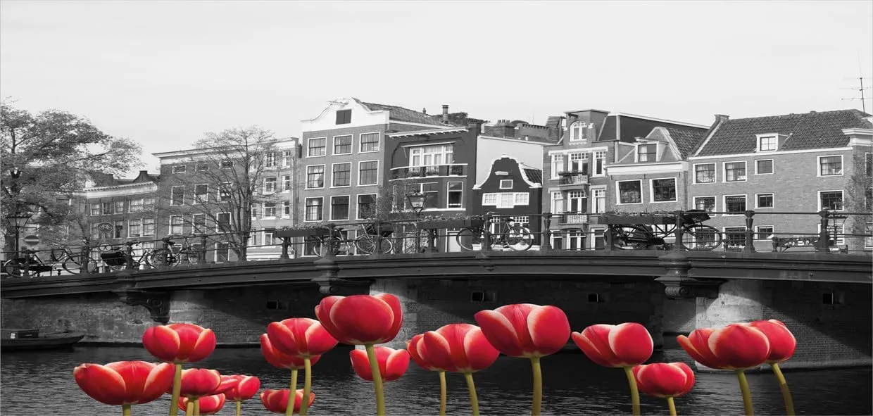 Ambesonne Black and White 10 Oz Steel Mug, Monochrome Photo of Amsterdam Canal with Red Tulips and Houses, Vacuum Insulated Leak-resistant Cup for Outdoor Hiking and Picnics, Black White and Red