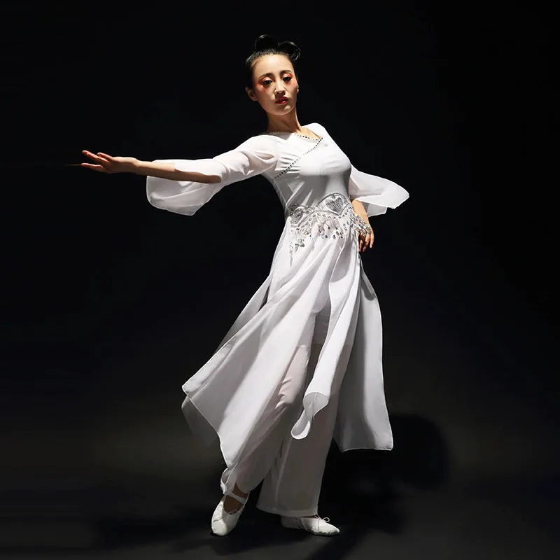 Chinese Folk Dance Costumes Classical Dance Costume, Female Practitioner Gongfu, Fairy Adult Modern Dance Costume Fan Dance