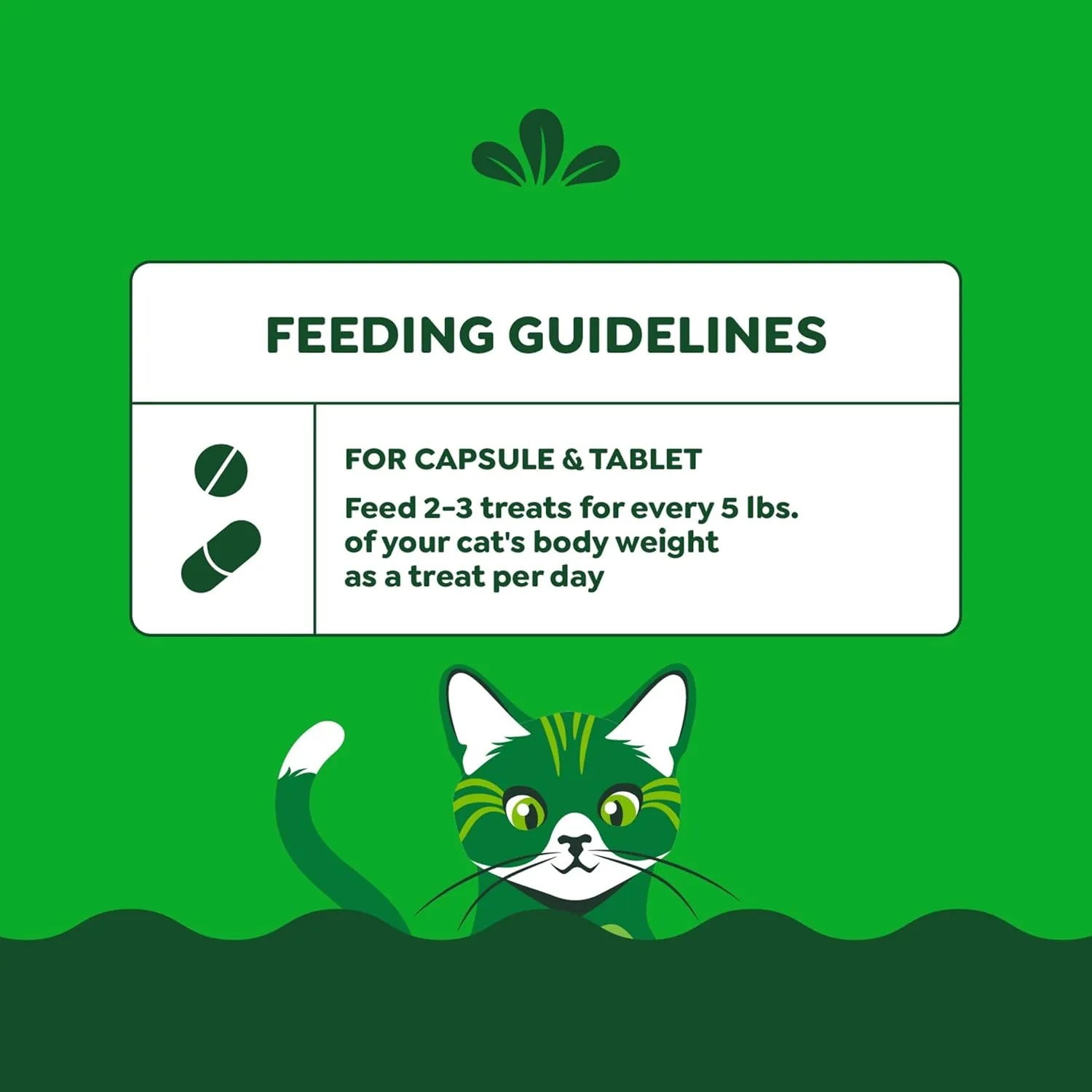 Greenies Feline Pill Pockets for Cats Natural Soft Cat Treats, Chicken Flavor, 3 oz. Pouch (85 Treats)