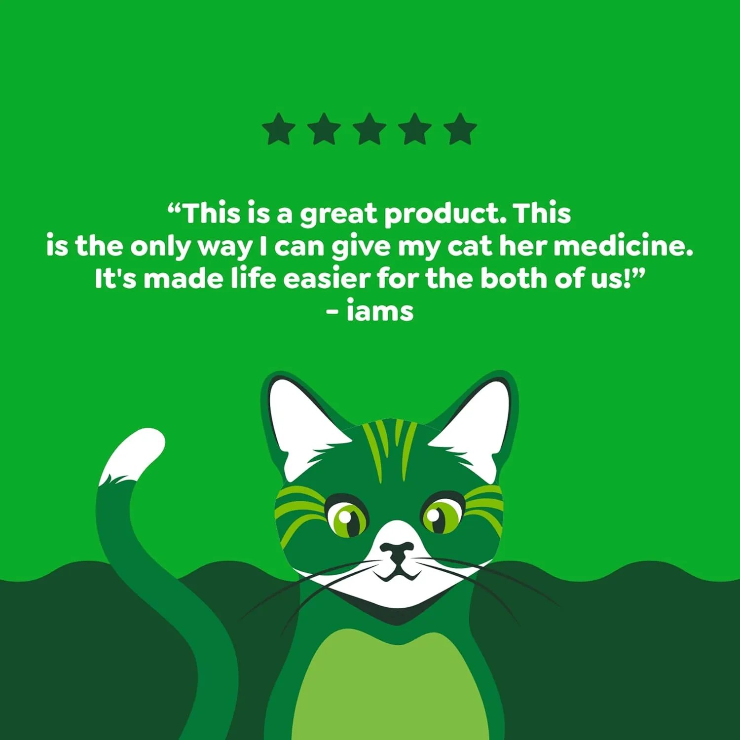 Greenies Feline Pill Pockets for Cats Natural Soft Cat Treats, Chicken Flavor, 3 oz. Pouch (85 Treats)