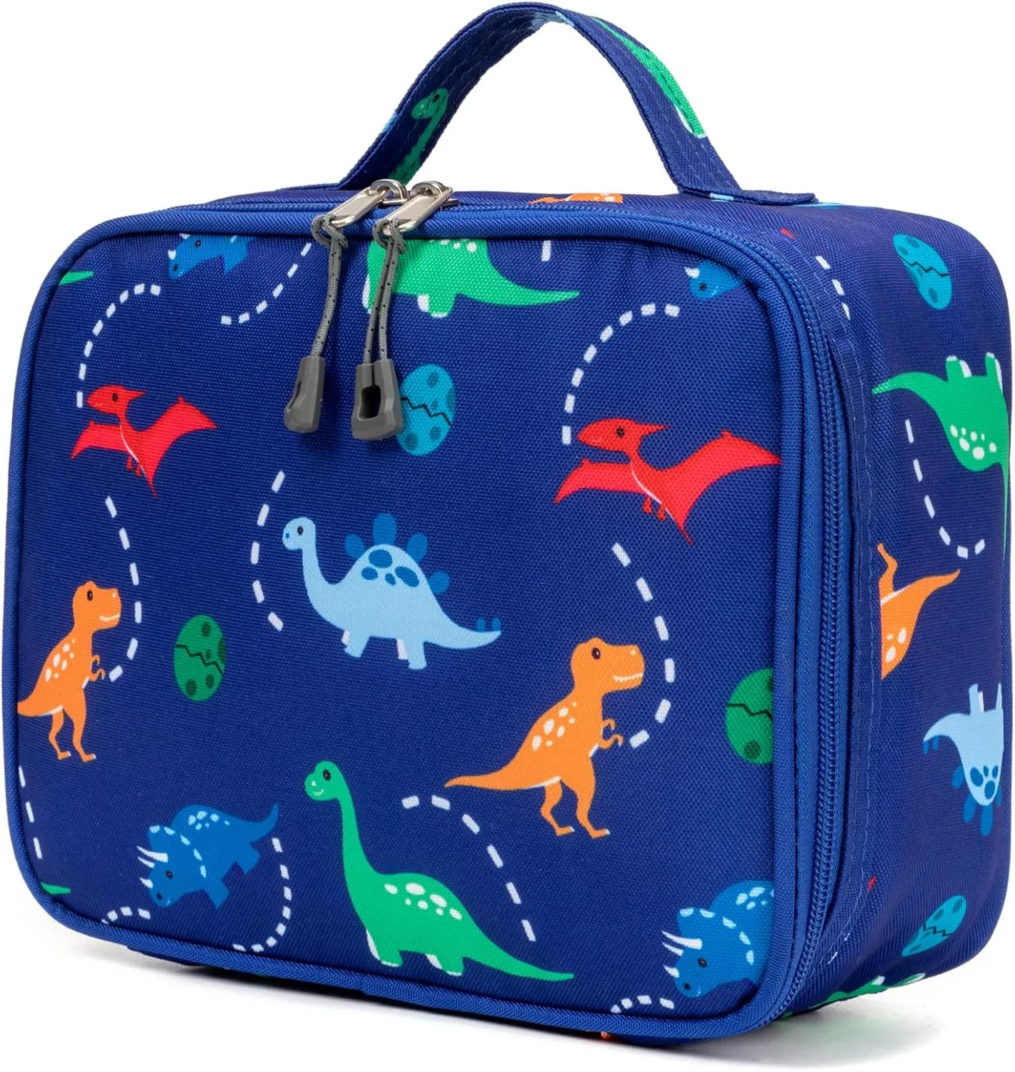 Insulated Lunch Box Bag for Kids Boys, Size for Preschool, Kindergarten, or Travel, Dinosaur Blue