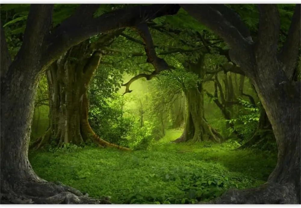 Leowefowa 8x6ft Vinyl Green Forest Photography BackdropFairy Tale Forest Old Tree Grass Field Jungle Forest Background Birthday Party Decor Children Kids Adults Portraits Backdrop Photo Studio Props