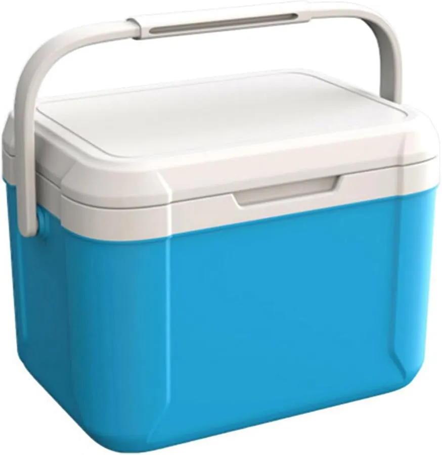 Mini Insulated Hard Cooler Lunch Box, 5 Quart Small Cooler with Handle, Portable Ice Retention Cooler Lunch Boxes for Camping, Picnic, Beach