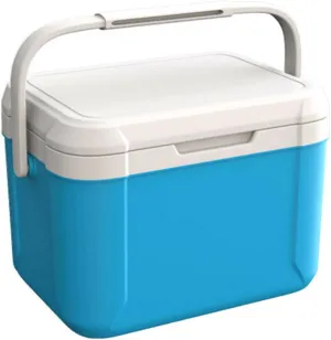 Mini Insulated Hard Cooler Lunch Box, 5 Quart Small Cooler with Handle, Portable Ice Retention Cooler Lunch Boxes for Camping, Picnic, Beach