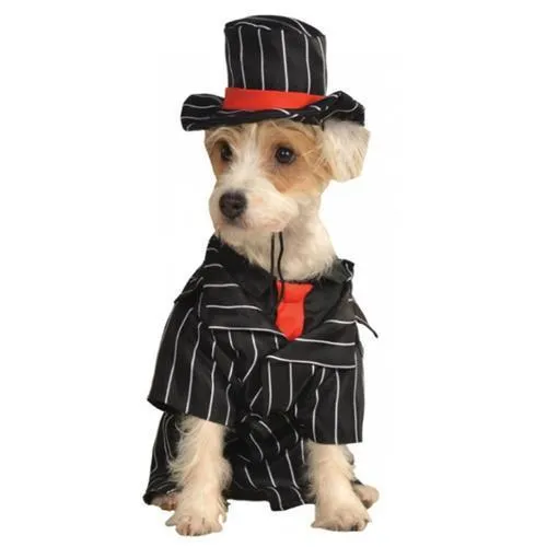 Mob Dog Costume