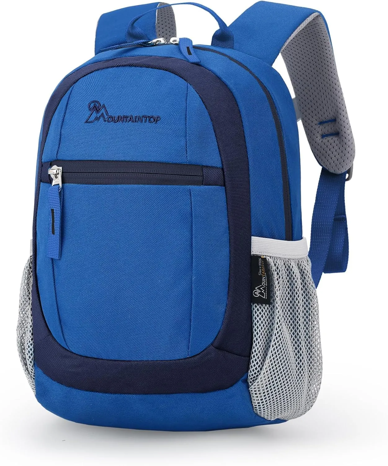 MOUNTAINTOP Kids Toddler Backpack for Boys Girls Preschool Kindergarten Bag