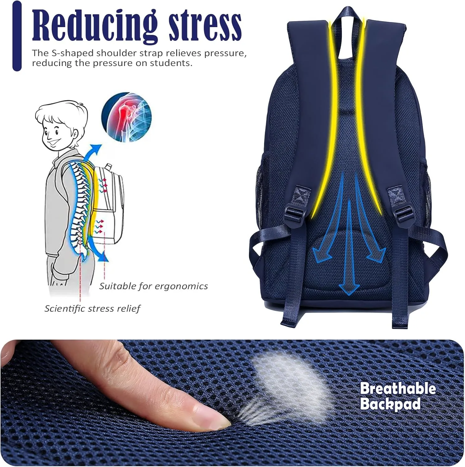 NOL Natural Organic Lifestyle Kids 2-in-1 Backpack & Insulated Lunch Bag-16 Multi-Functional Large Compartments Backpack for School & Travel, Double Deck, Water Resistant,Leak-proof,Padded-Navy blue