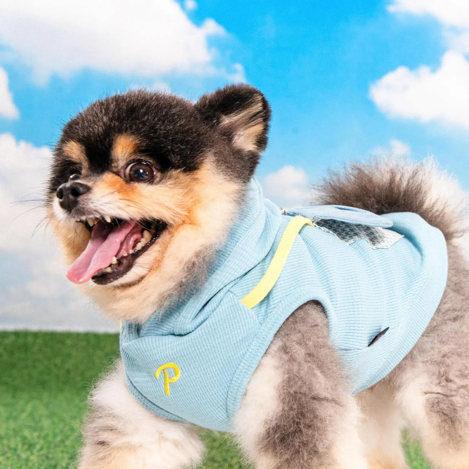 Puppia Lessie Dog Shirt Hooded Trendy Fashionable Cute Dog Apparel for Small and Medium Dogs, Blue, Medium