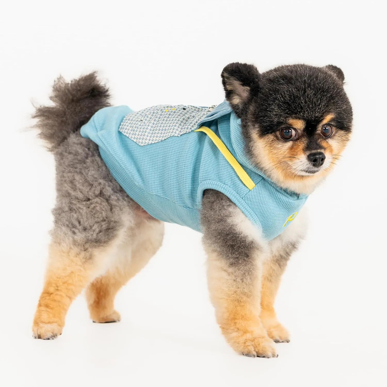 Puppia Lessie Dog Shirt Hooded Trendy Fashionable Cute Dog Apparel for Small and Medium Dogs, Blue, Medium