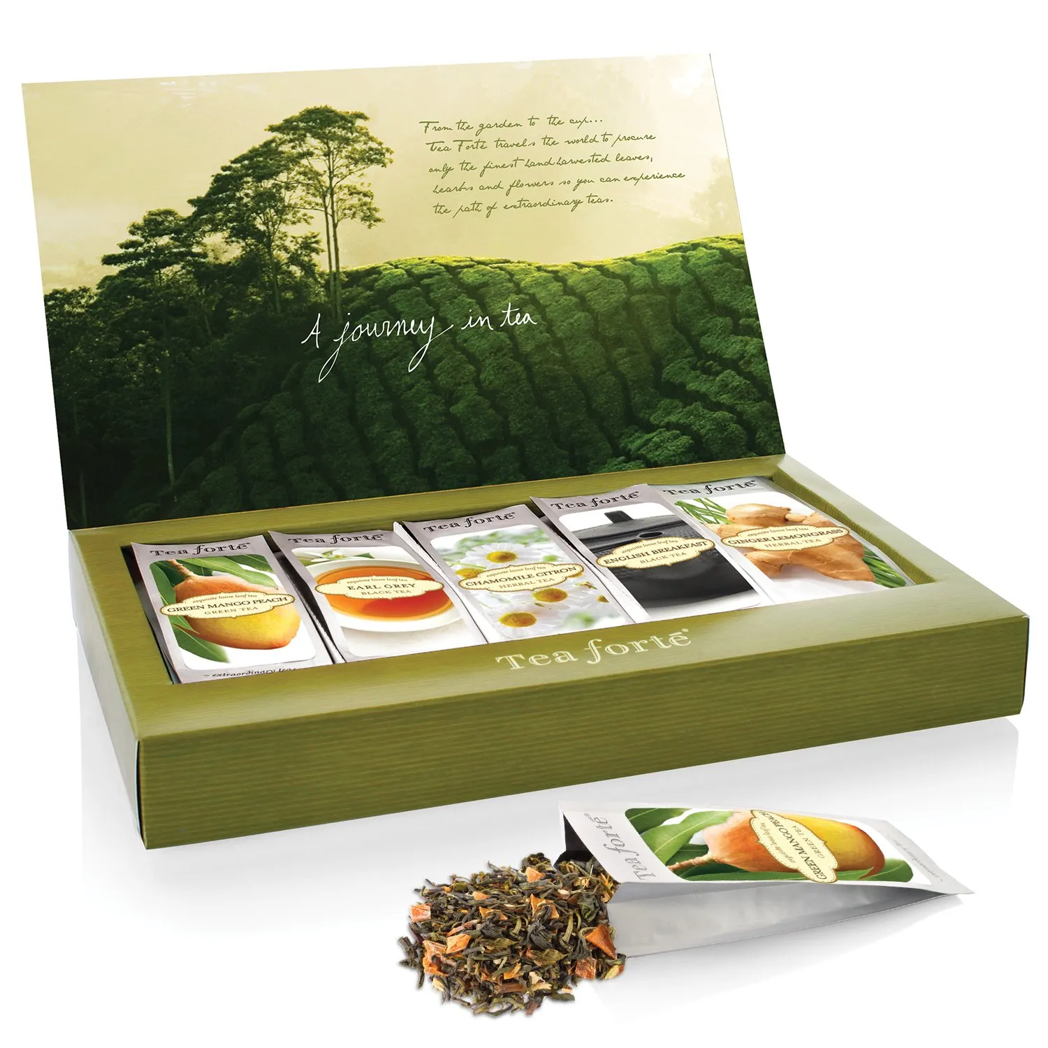 Tea Forte Tea Tasting Assortment Single Steeps Loose Leaf Premium Mother's Day Tea Gift Set Sampler, 15 Count 3 of Each Assorted Blends, Pre-Portioned Single Serve Pouches, Steeps 12 oz