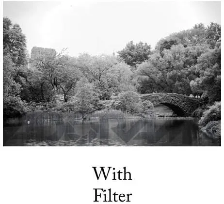 Tiffen 52mm 15 Filter (Yellow)