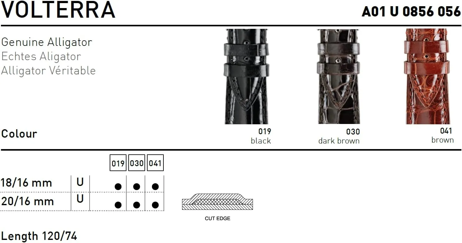 Volterra Genuine Alligator Leather Watch Strap - Stainless Steel Buckle - PELLI PREZIOSE Collection