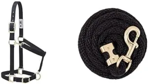Weaver Leather Padded, Adjustable Nylon Horse Halter with Brass Hardware and Matching Soft Grip Performance Lead Rope